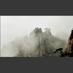 雾锁青山