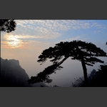 夕照迎客松
