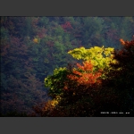 层林尽染·光雾山