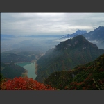 崇山红叶