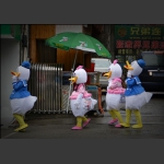 街上走过四只鸭