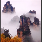 天子山石林