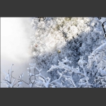 雪中索道