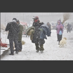 风雪赶集