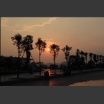 夕阳洒在滨河路