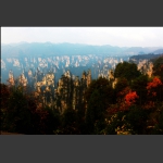 秋到天子山