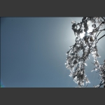 冰花