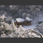 天门瑞雪