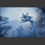 《冰雪童话》