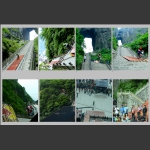 八单车险