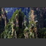 天子山·天然盆景