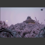 夕辉催月昇