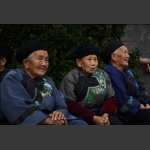 心未老