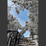 通天雪径