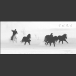 雪域风情----坝上