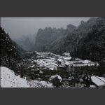 森林公园雪后
