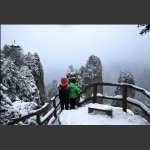 雪中情