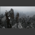 冬雪