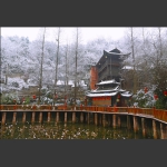 飞雪迎春
