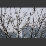 雪融化