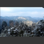 雪洒崚霄