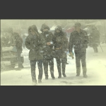 雪中匆匆行