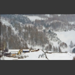 雪村正月
