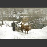 雪村正月