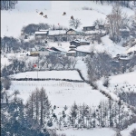雪村正月