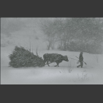 暴雪途中