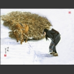 留影
