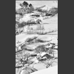 雪村正月