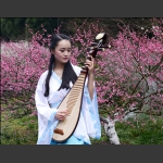 梅园琴音