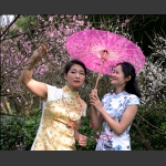 梅园佳丽