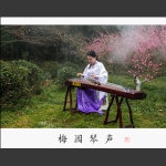 梅园琴声