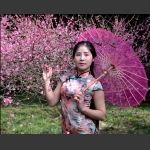 赏梅