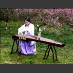 梅园抚琴赏梅花