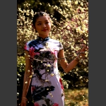 美丽的白梅花