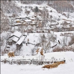 雪村正月