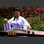 佳人抚琴