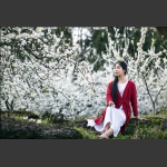 少女赏花