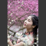 寻梅