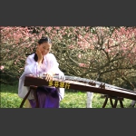 梅园古韵美女