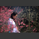 咏梅2