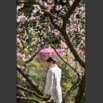 花下影！