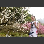 梅花园里俏佳人7