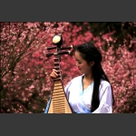 咏梅4