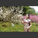 梅花园里俏佳人6