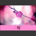 放