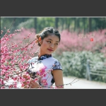 梅花.旗袍佳人